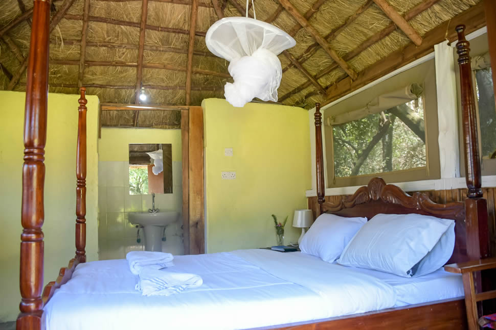 Single Deluxe Cottage