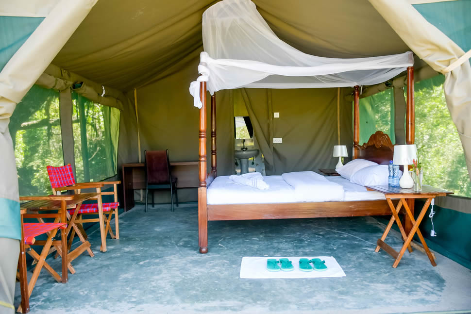 Single Deluxe Tent