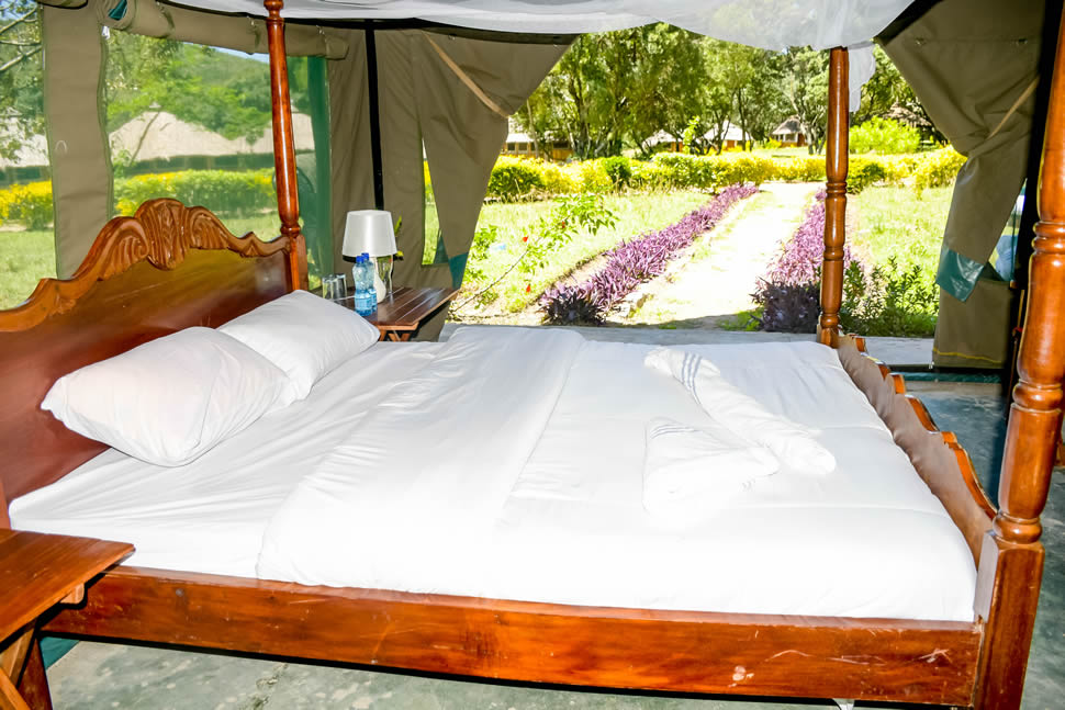 Single Deluxe Tent