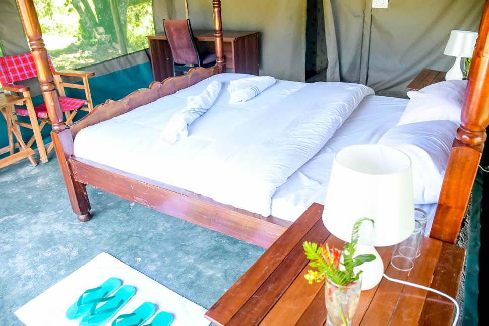 Single Deluxe Tent
