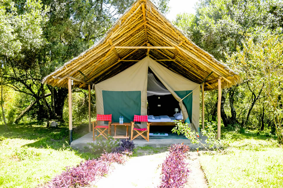 double_tent.jpg