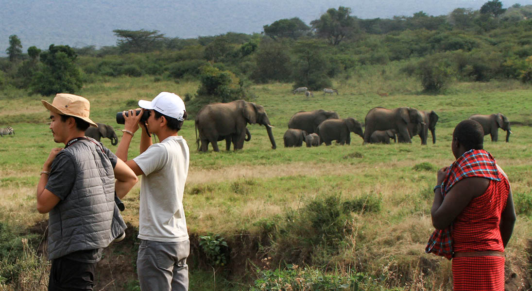Guided Nature Walks