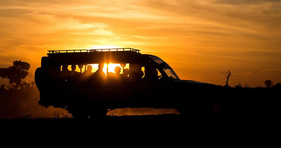 Sundowners